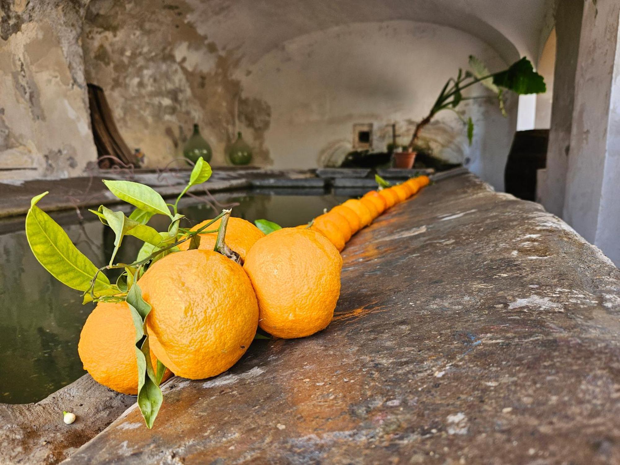 L' Antico Lavatoio Bed & Breakfast Rignano Flaminio Exterior photo